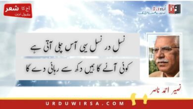 نسل در نسل یہی آس چلی آتی ہے کوئی آئے گا ہمیں دکھ سے رہائی دے گا نسل در نسل یہی آس چلی آتی ہے کوئی آئے گا ہمیں دکھ سے رہائی دے گا