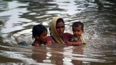 "دریاؤں پر پشتے باندھنے والی بانہیں ڈوب گئیں” / تحریر : بصیرت فاطمہ "دریاؤں پر پشتے باندھنے والی بانہیں ڈوب گئیں” / تحریر : بصیرت فاطمہ