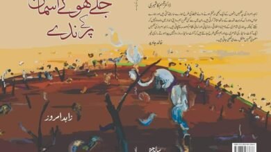 جلے ہوئے آسمان کے پرندے / صنوبر الطاف