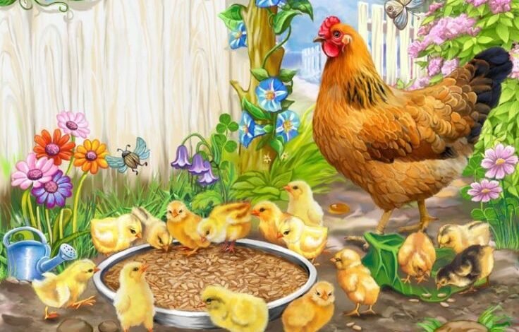 اپنی فوج کو لائی مرغی / عبید رضا