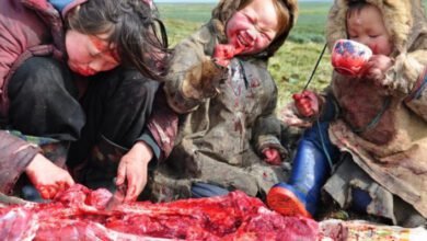 اگر گوشت کا ذائقہ اتنا اچھا ہے تو ہمیشہ میرینیٹ کرنے کی کیا ضرورت ہے لوگ اسے کچا کیوں نہیں کھاتے؟