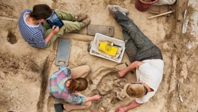 سب سے زیادہ رومانوی آثار قدیمہ کیسے ہیں؟