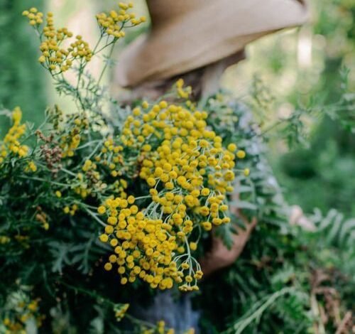 محبت اور بھوک / قرۃالعین شعیب