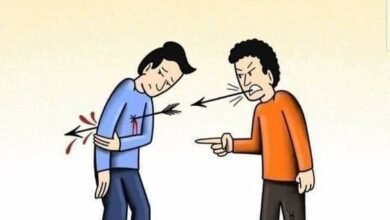 قاتل الفاظ / ابصار فاطمہ