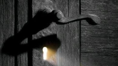 منفرد اور دل چسپ / خدیجہ طاہر
