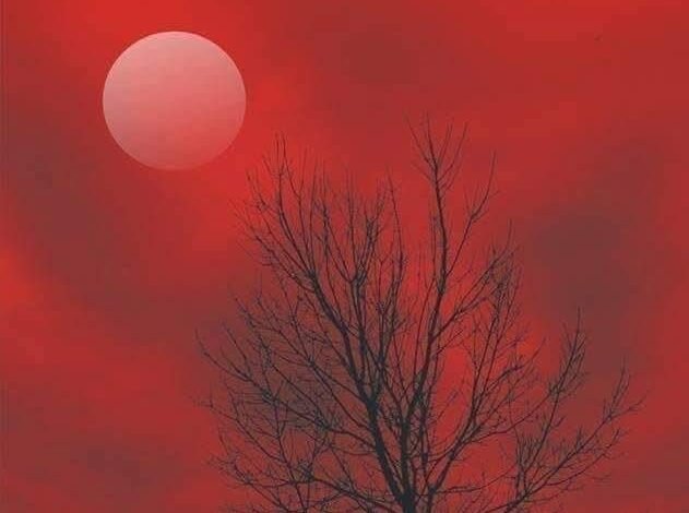 نظم / حواس کھو رہی ہو تم / حنا عنبرین