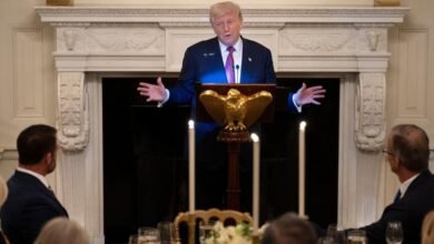 پاکستان انڈیا کشیدگی کے دوران پانچ طیارے مار گرائے گئے: صدر ٹرمپ/ اردو ورثہ