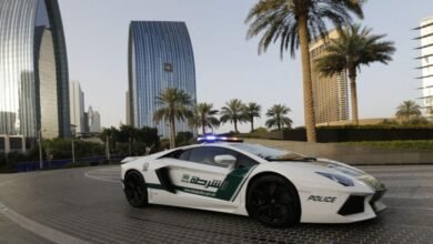 دبئی پولیس نے آٹھ گھنٹوں میں ڈھائی کروڑ ڈالر کا چوری شدہ ہیرا برآمد کر لیا/ اردو ورثہ