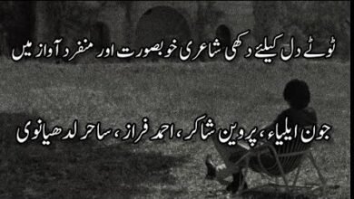 انجم رائٹس کی دل کو چھو لینے والی غمگین اردو شاعری