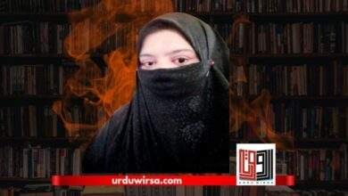 نزع / عینی عرفان