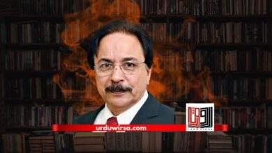 کچھ پتا نہیں چلتا / ابرار احمد کچھ پتا نہیں چلتا / ابرار احمد