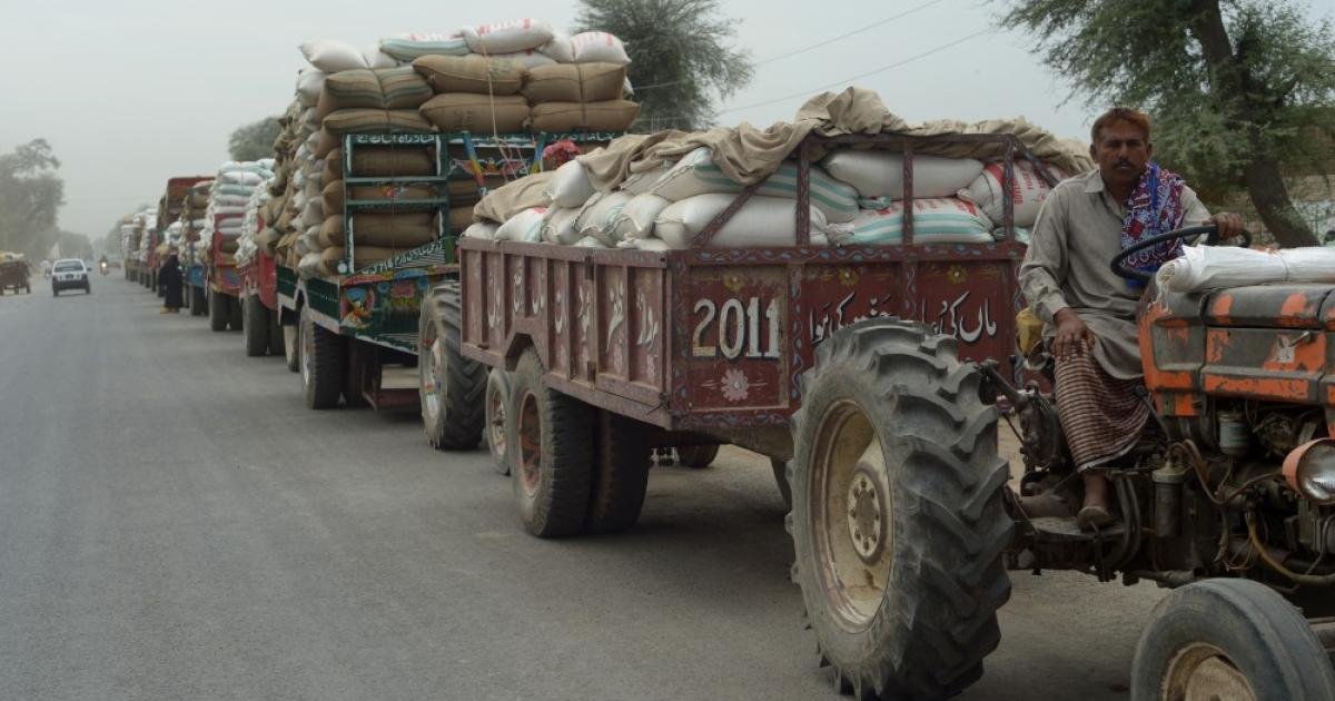 وزیر اعظم پنجاب سے گندم کی ترسیل پر پابندی ختم کروائیں: گورنر کے پی
