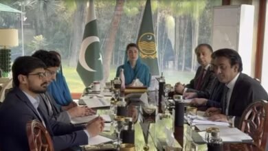 پنجاب کا اپنا سائبر کرائم ونگ بنانے پر غور: کیا یہ ممکن ہے؟/ اردو ورثہ پنجاب کا اپنا سائبر کرائم ونگ بنانے پر غور: کیا یہ ممکن ہے؟/ اردو ورثہ