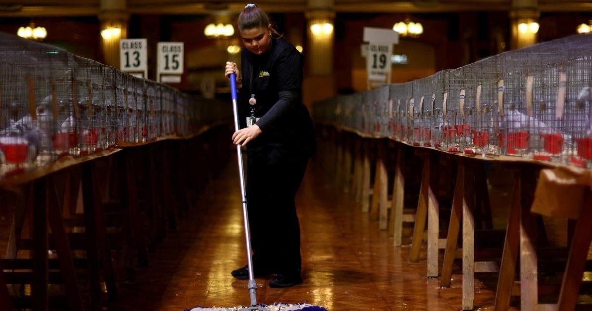 گھر کی صفائی کرنے والوں کی تنخواہ ایک لاکھ ڈالر تک: بلومبرگ