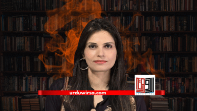 جرابوں سے بنی بارہ سو کہانیاں: انسانوں کے دکھ، تنہائی اور شناخت کی کہانیاں / رپورٹ : عطرت بتول