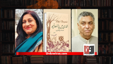 کتاب: الماری میں پڑا ڈھانچہ /تبصرہ : کنول بہزاد کتاب: الماری میں پڑا ڈھانچہ /تبصرہ : کنول بہزاد