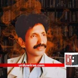 غزل / یہ کھیت صدیوں پرانے یہ حال اب بھی ہے / نسیم عباسی