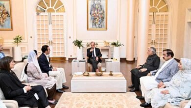 پاکستان حکومت کی اتحادیوں سے نئی آئینی ترمیم پر مشاورت کی تصدیق/ اردو ورثہ