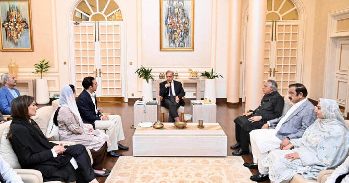 پاکستان حکومت کی اتحادیوں سے نئی آئینی ترمیم پر مشاورت کی تصدیق