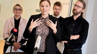 ڈنمارک میں بھی کم عمر بچوں کی سوشل میڈیا تک رسائی روکنے کا فیصلہ/ اردو ورثہ