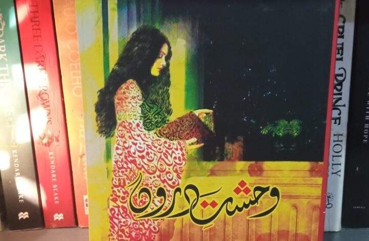 کتاب : وحشت دروں / تبصرہ وحید راز کاریگر،گرمٹکال انڈیا کتاب : وحشت دروں / تبصرہ وحید راز کاریگر،گرمٹکال انڈیا