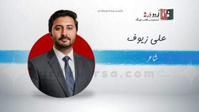 White Black And Gray Area’s ; | علی زیوف