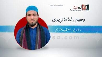 نظریہ پرستی اور انسان کی قومی تشکیل ؛ وجودی تناظر میں | وسیم رضا ماتریدی