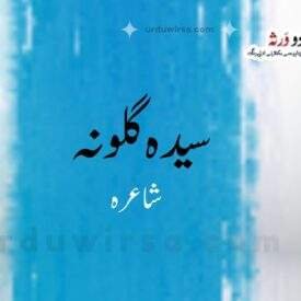 لمس کا خواب | سیدہ گلونہ