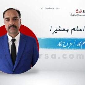 اُف یہ گاؤن (حصہ اول)/ ملک اسلم ہمشیرا, احمد پور شرقیہ