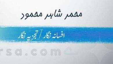 کتاب : بادل/مسعود اختر خان : تبصرہ : محمد شاہد محمود ، فیصل آباد