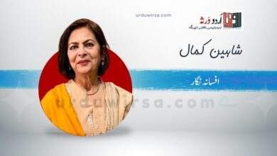 ہنس راج اور کسبی/ شاہین کمال ، کیلگری