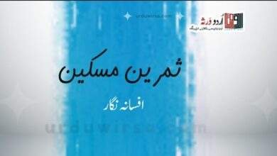 پزل بورڈ / ثمرین مسکین ، اٹک