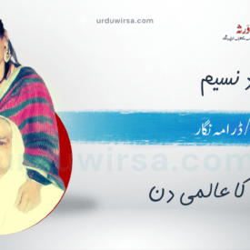 میری سہیلی میری ماں / دلشاد نسیم