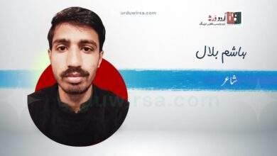 بے حسی کے زندان میں | ہاشم بلال
