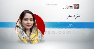 سلام /دل میں بسی ہوئی ہے محبت حسین کی/منزہ سحر