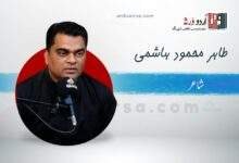 سلام /غلط کہ دشت بلا میں نماز مسئلہ ہے /طاہر ہاشمی