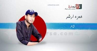 غزل /خیال یار بھی رنگین خواب جیسا ہے /حمزہ ارشد